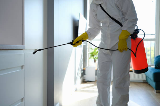 Professional Mold Removal in Ivey, GA