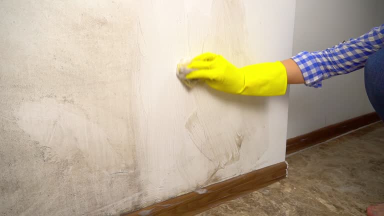 Best Industrial Mold Remediation  in Ivey, GA