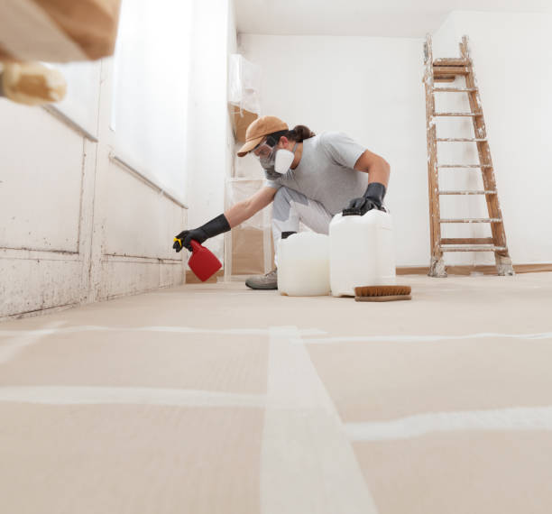 Best Mold Prevention Services  in Ivey, GA