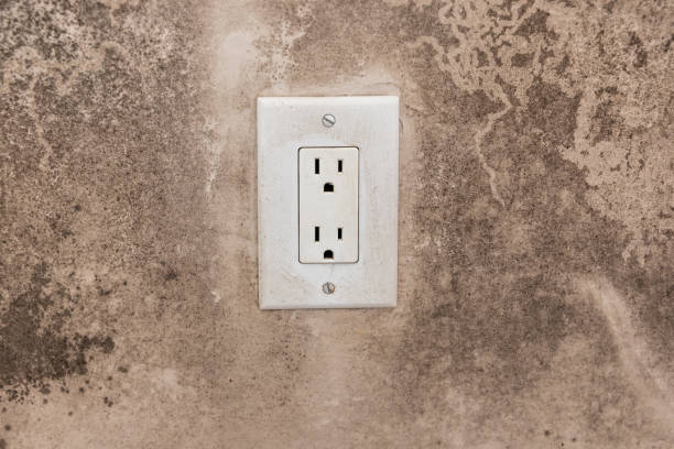 Best Dehumidification Services  in Ivey, GA